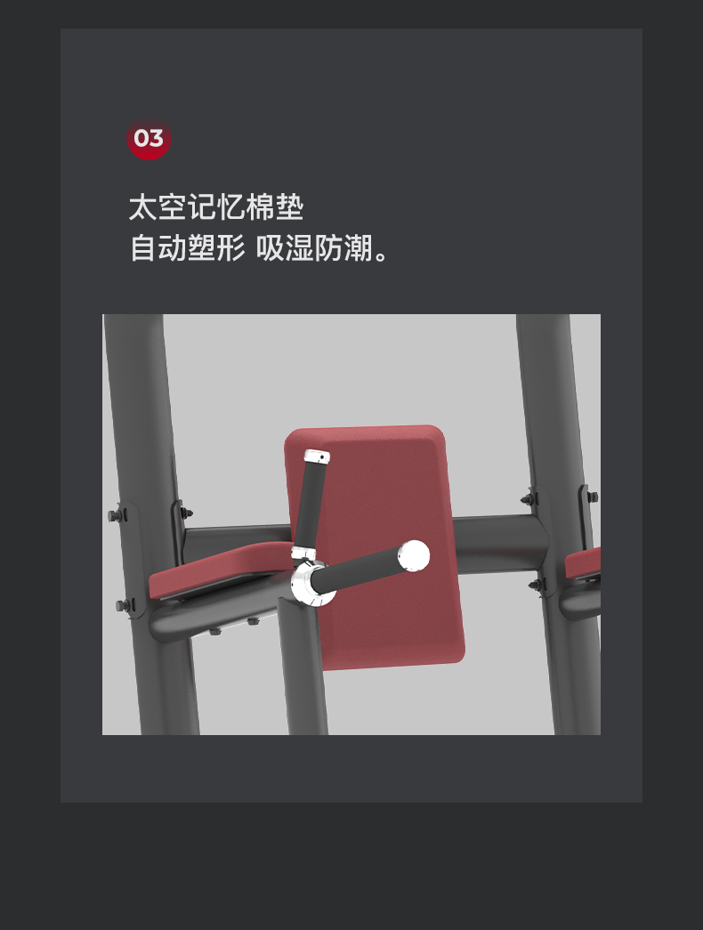 美国蜜柚官网在线下载-J-6033单双杆及提腿腹肌复合训练器(图9)