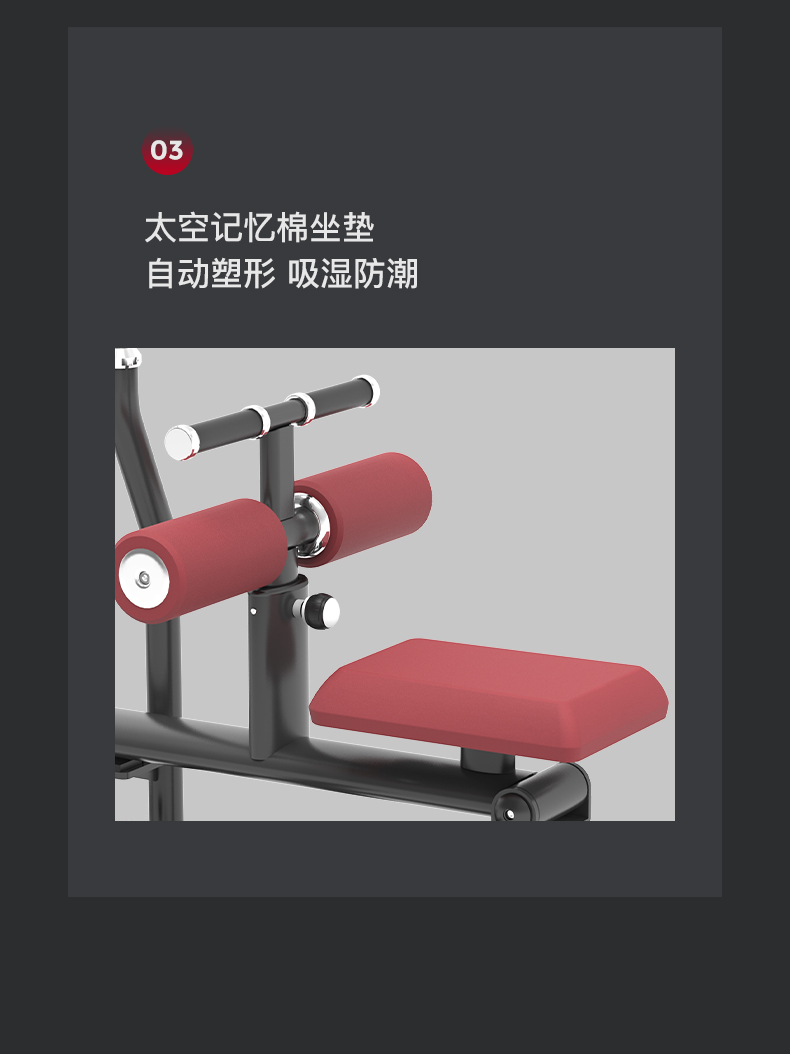 美国蜜柚官网在线下载-J-6039坐式提踵训练器(图9)